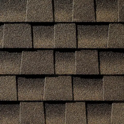Darkwood GAF shingle color