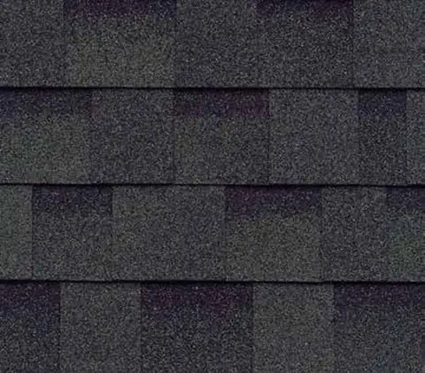 Vintage Gre IKO shingle color